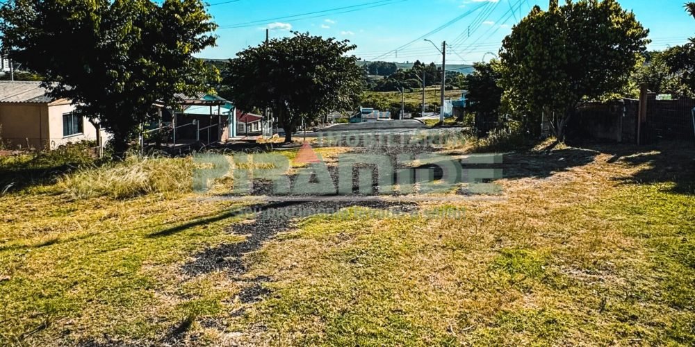 IMG_4350.JPG